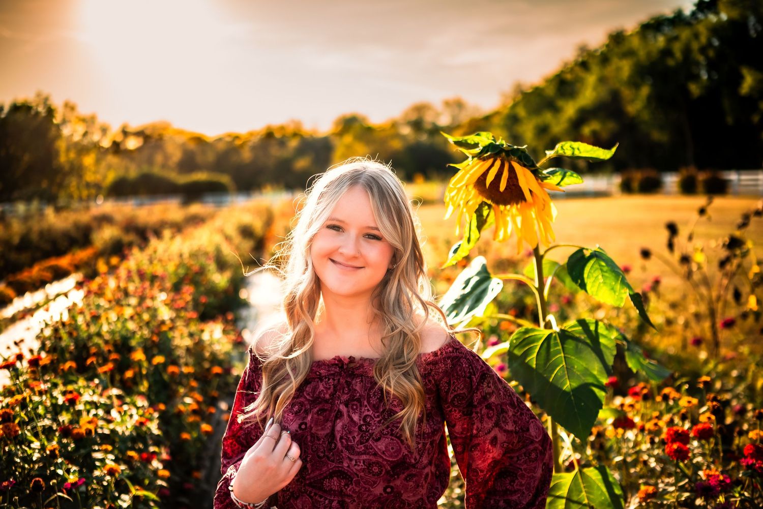 Golden sunlight illuminates a vibrant garden filled with sunflowers and colorful blooms at sunset.
