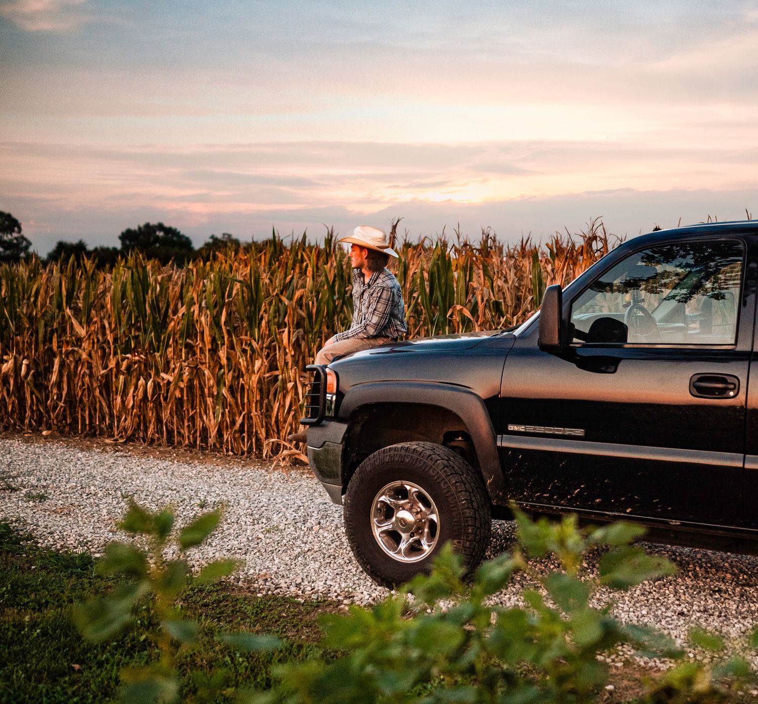 Black pickup truck parked near cornfield at sunset with gravel road in foreground.