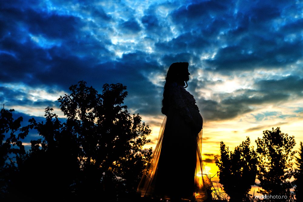 A silhouette figure stands against a dramatic sunset sky with dark clouds and pine trees in the background.