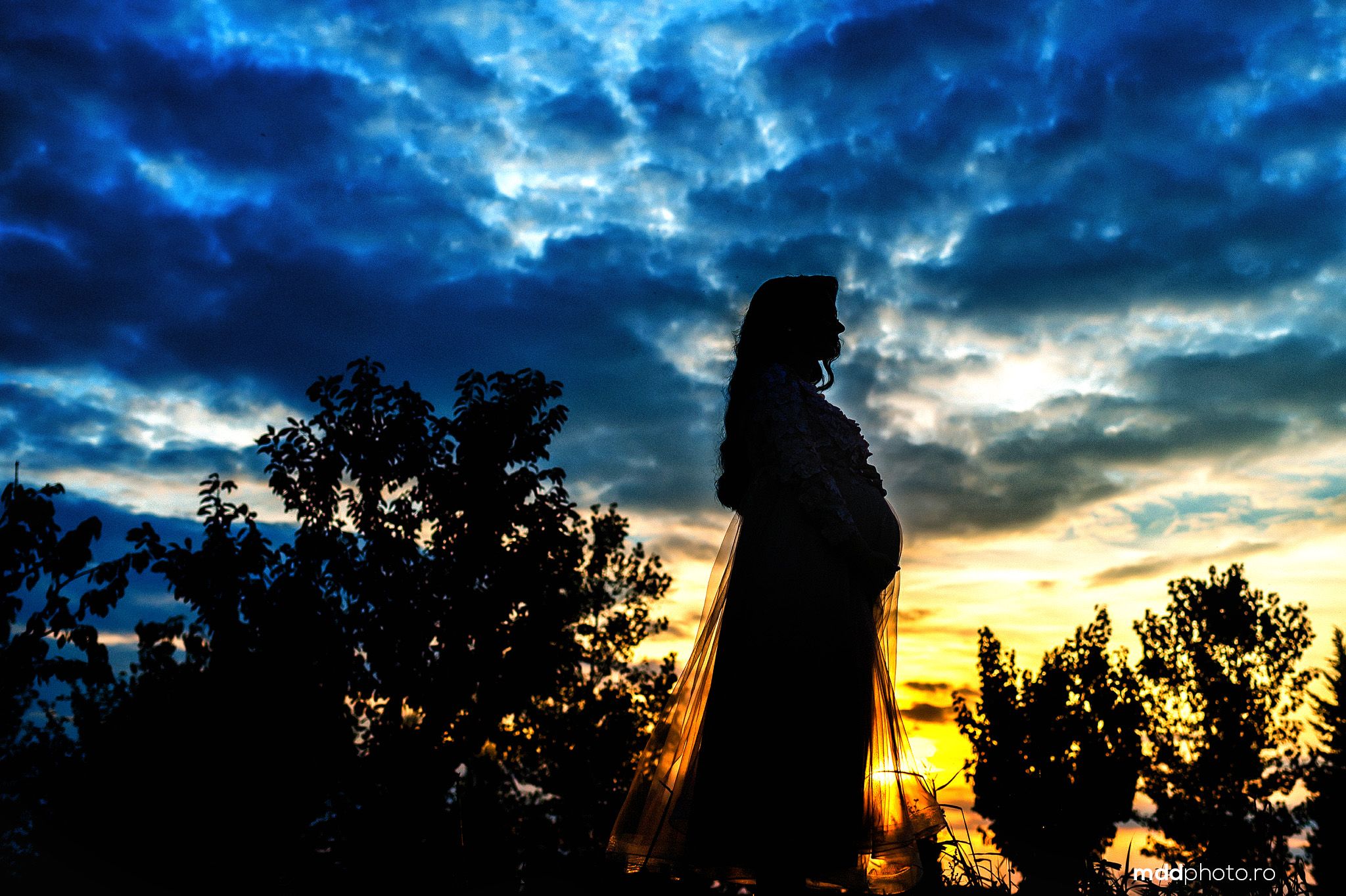 A silhouette figure stands against a dramatic sunset sky with dark clouds and pine trees in the background.