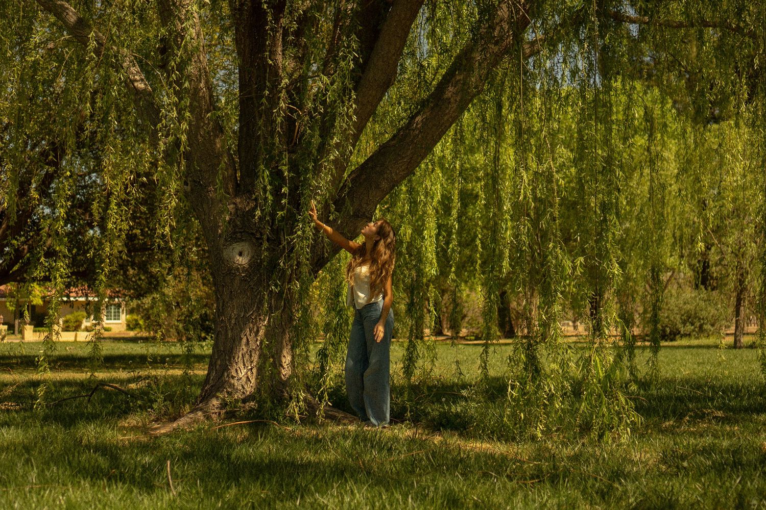 las cruces cinematic photographer