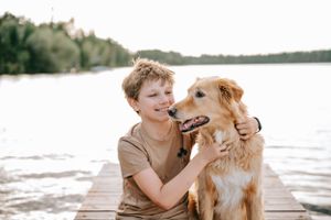 Candid moments of a child playing with a golden retriever by the lake at sunset.