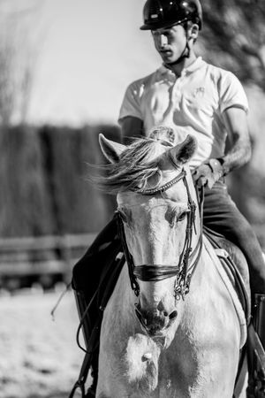 A Spanish stud and his horse. Come on, some of these have to be fun right?