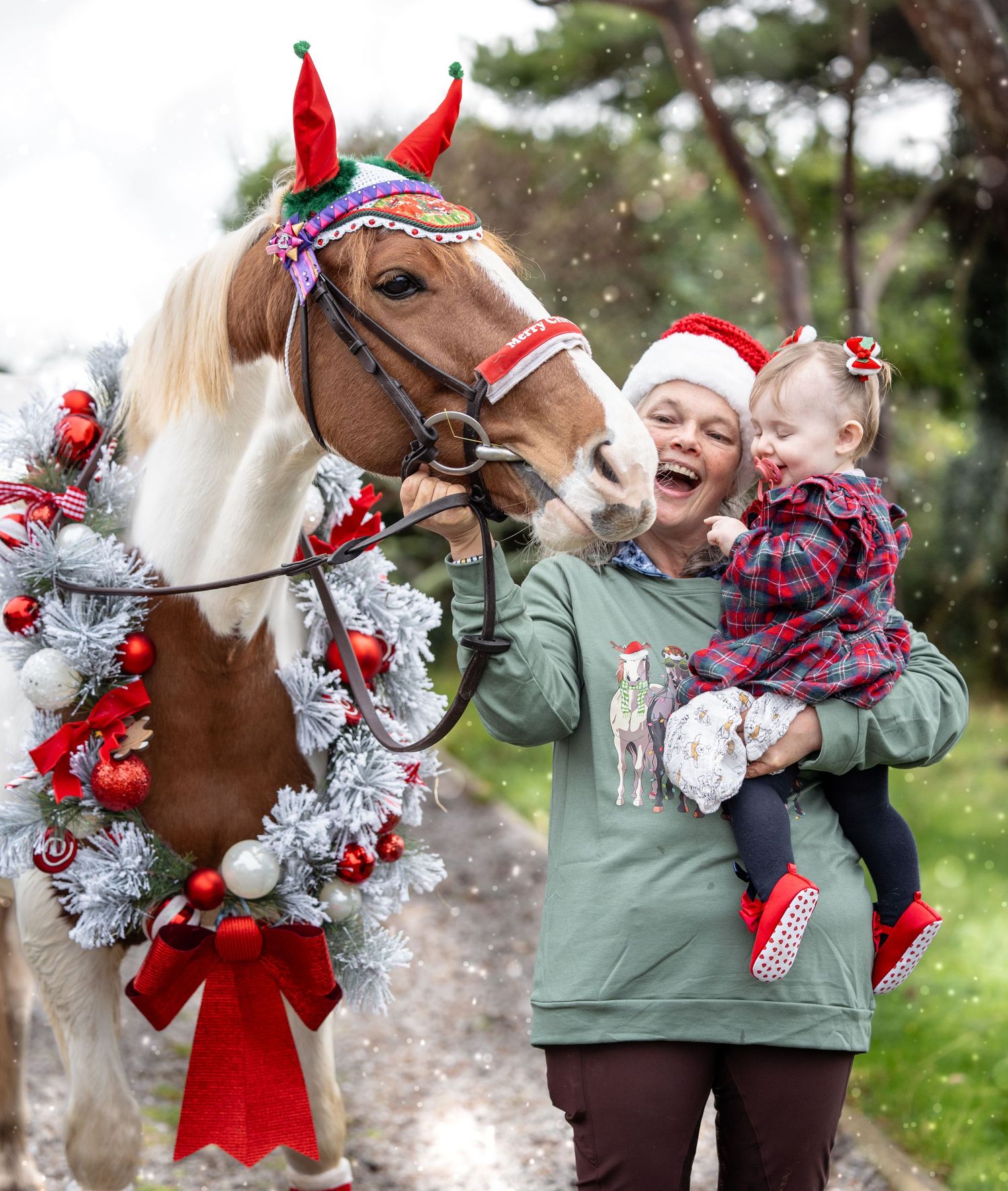Horse decorated with Christmas wreath and ornaments poses with festive holiday scene.