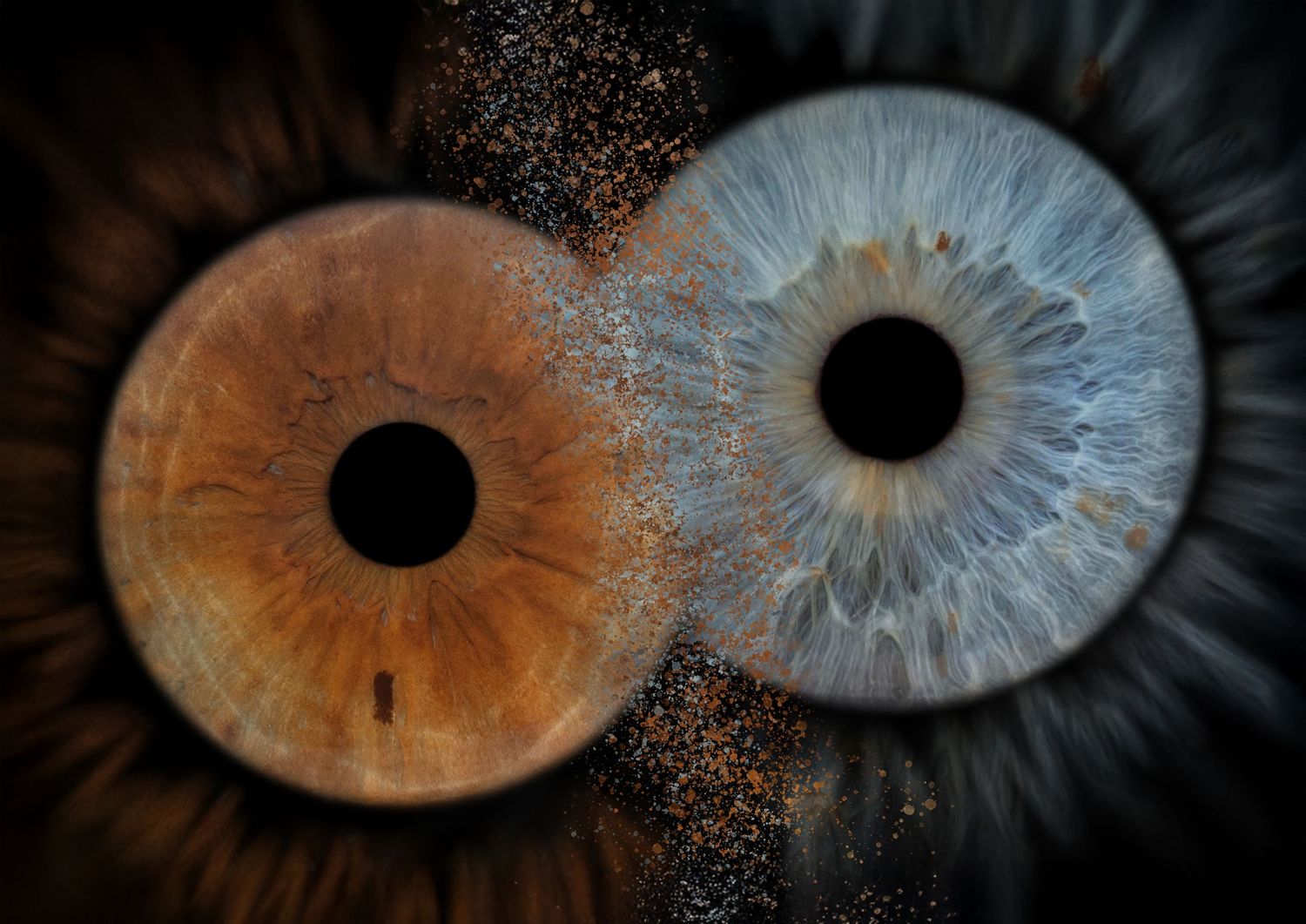 Close-up of two human irises, one amber and one blue, against a dark background.