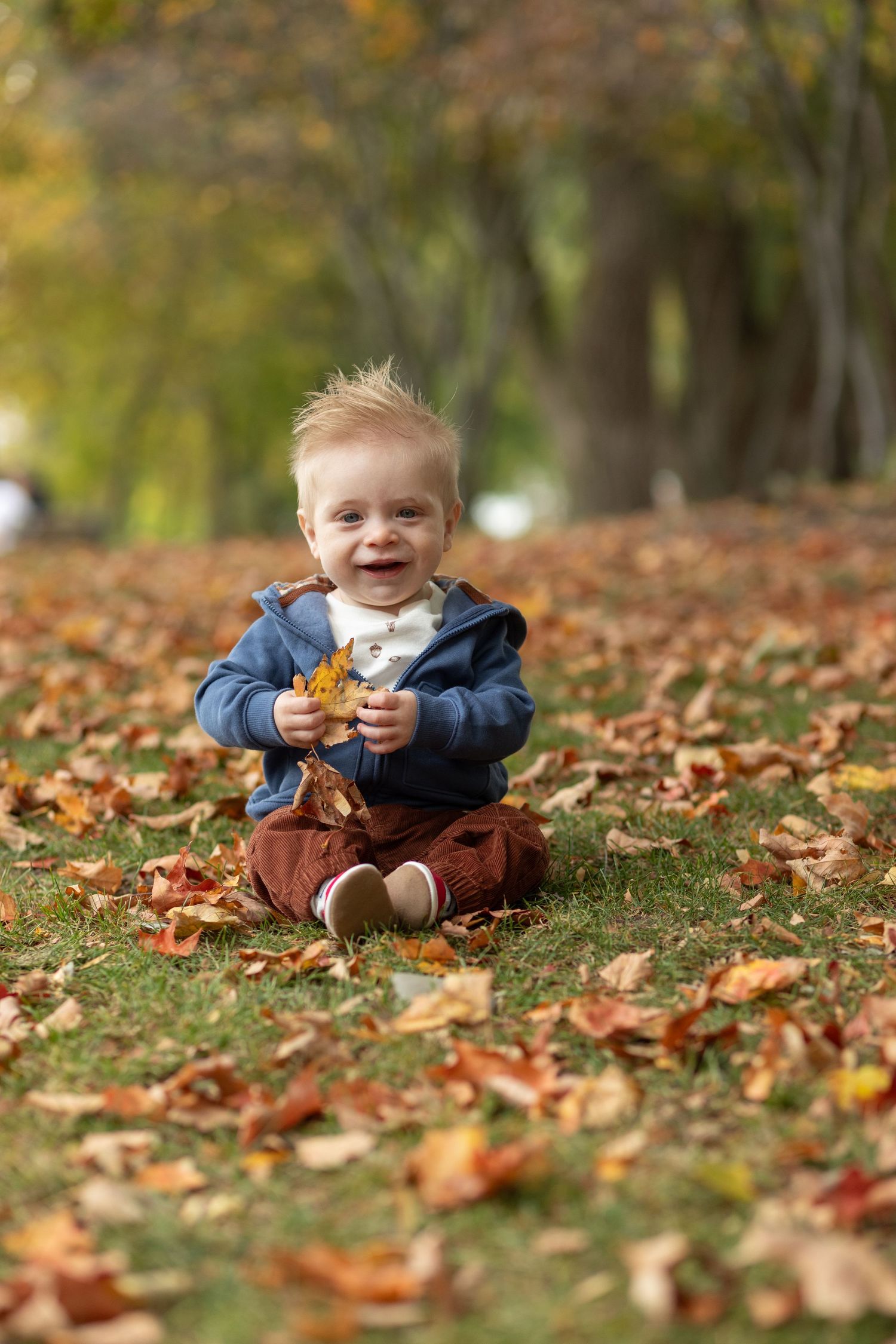 Baby sitting in autumn leaves wearing navy jacket and brown pants.
