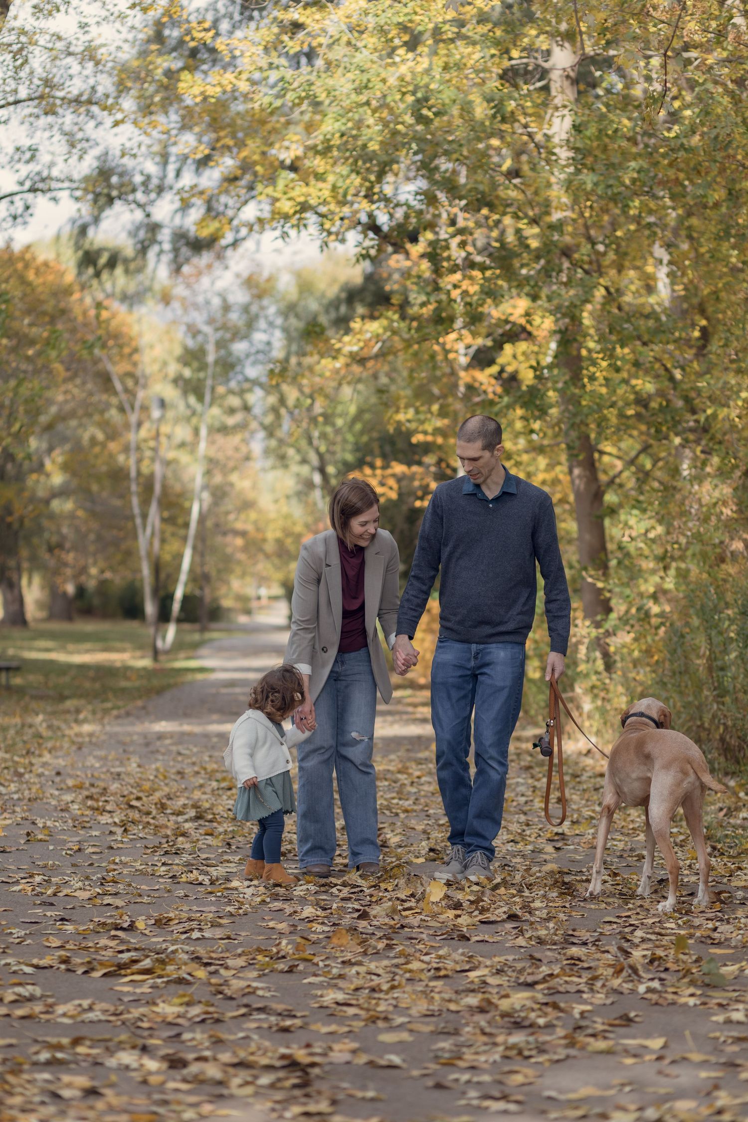 Family walking dog on tree-lined path covered in fall leaves.