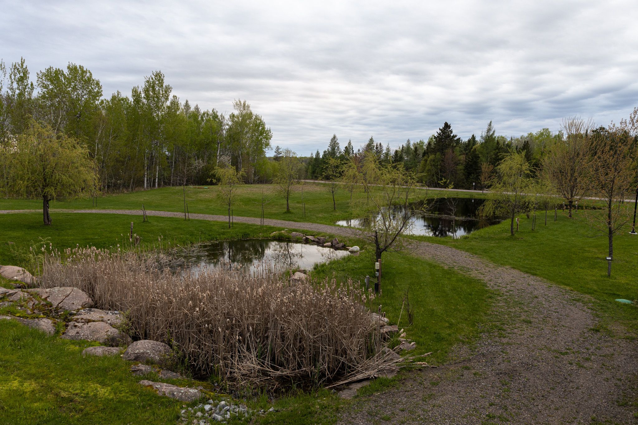Winding path through landscaped grounds with pond and trees under overcast sky.