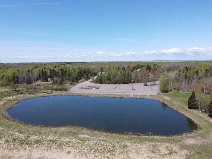 Aerial view of a serene pond surrounded by forest and open fields on a clear day.