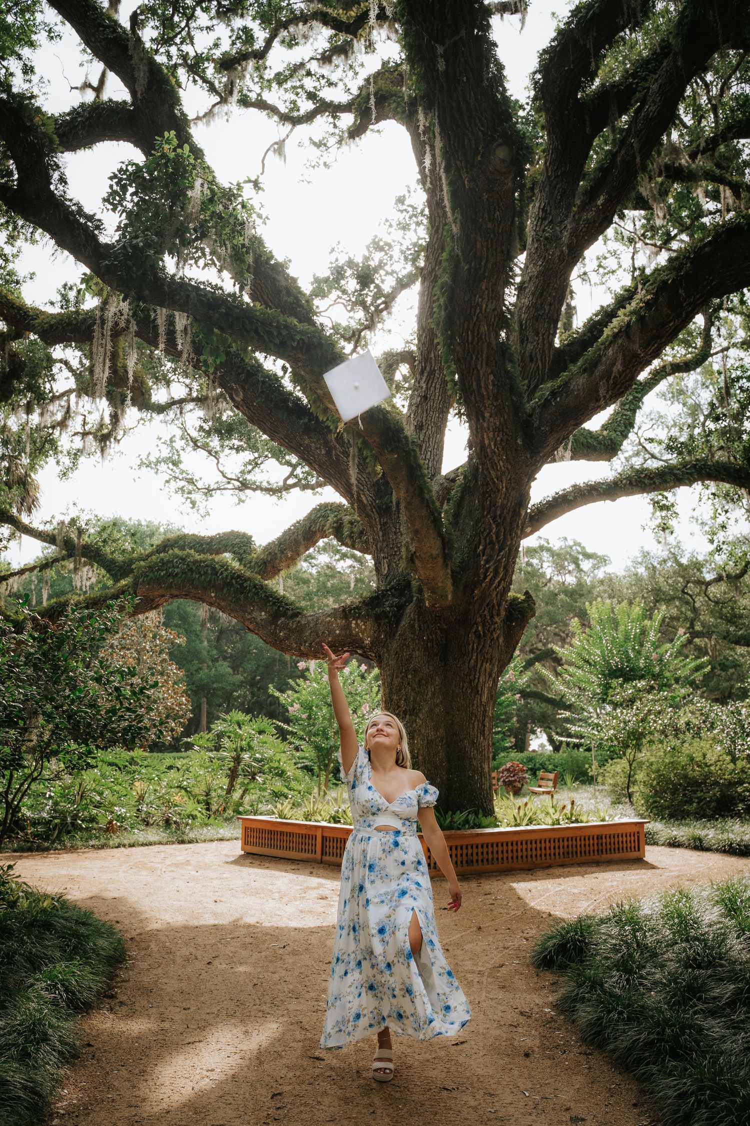 Washington State Oaks. St Augustine, Palm Coast and Jacksonville, FL Photographer. Senior Photos. Graduation Photos.