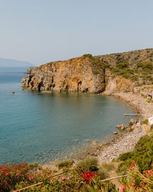 Scenic rocky coastline with crystal clear turquoise water, lush cliffs, and red wildflowers in foreground.