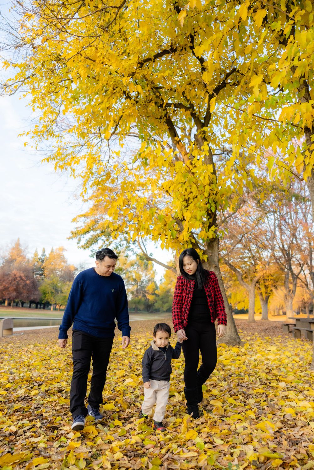 Family walking together under vibrant yellow autumn trees with fallen leaves covering the ground.