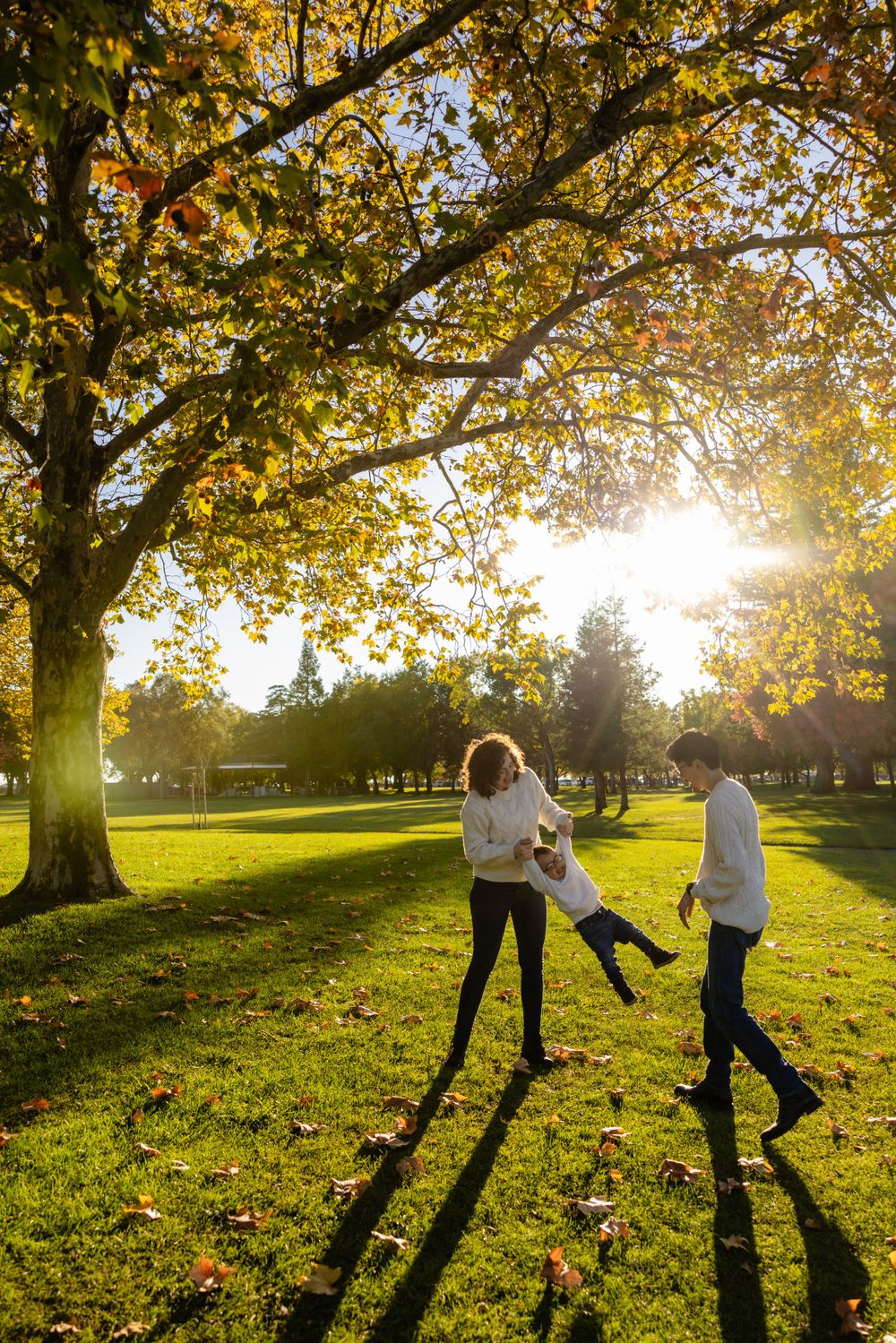 Family plays together under golden sunlit tree in autumn park.
