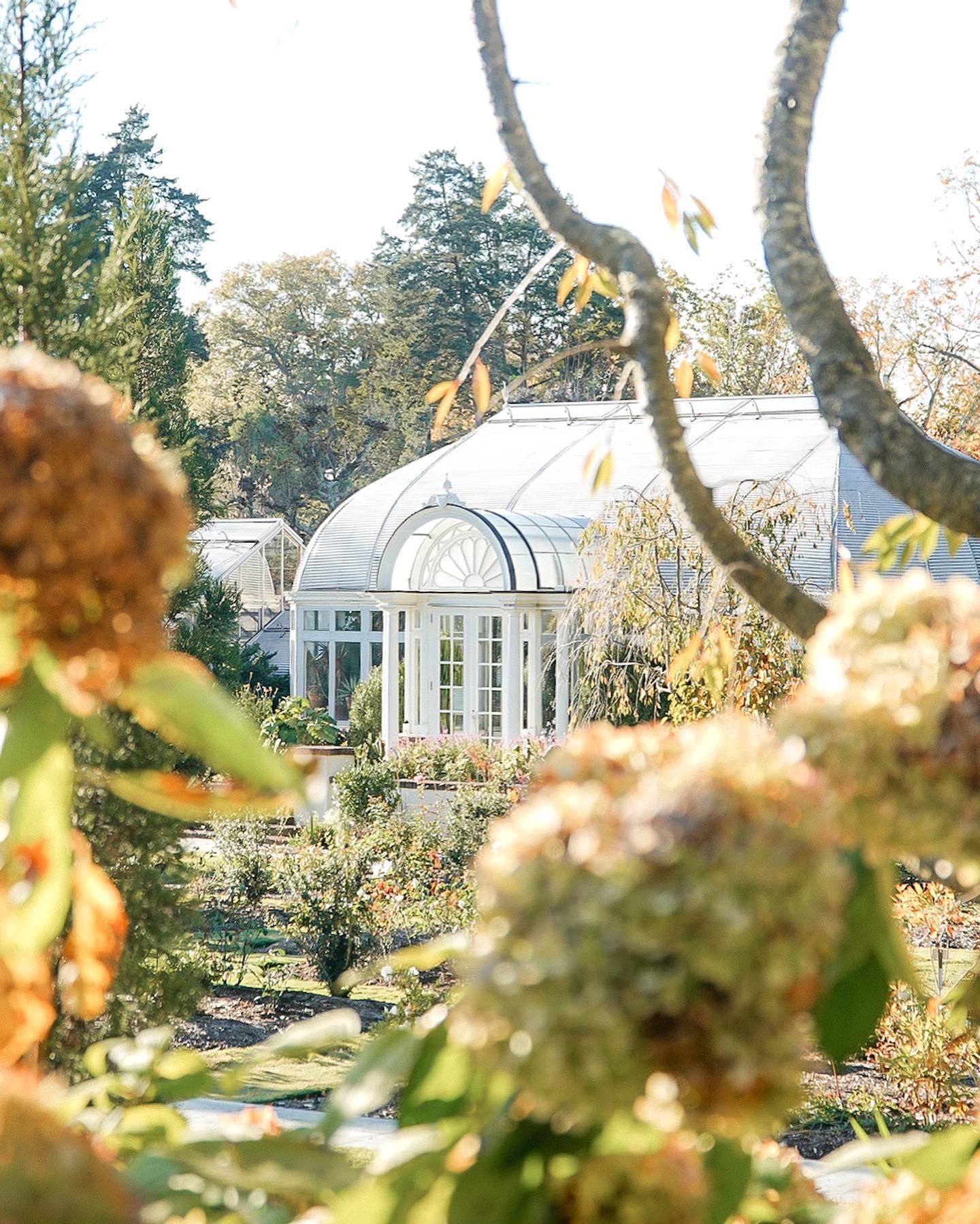 A white conservatory greenhouse with domed glass roof nestled in a lush garden setting during golden hour.