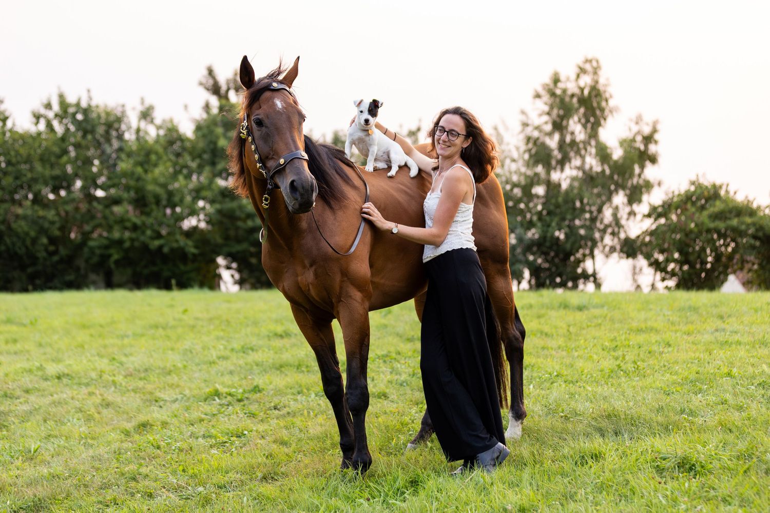 Photographe animalière