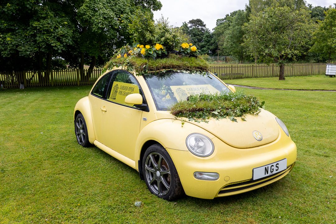 NGS Beetle car with plants