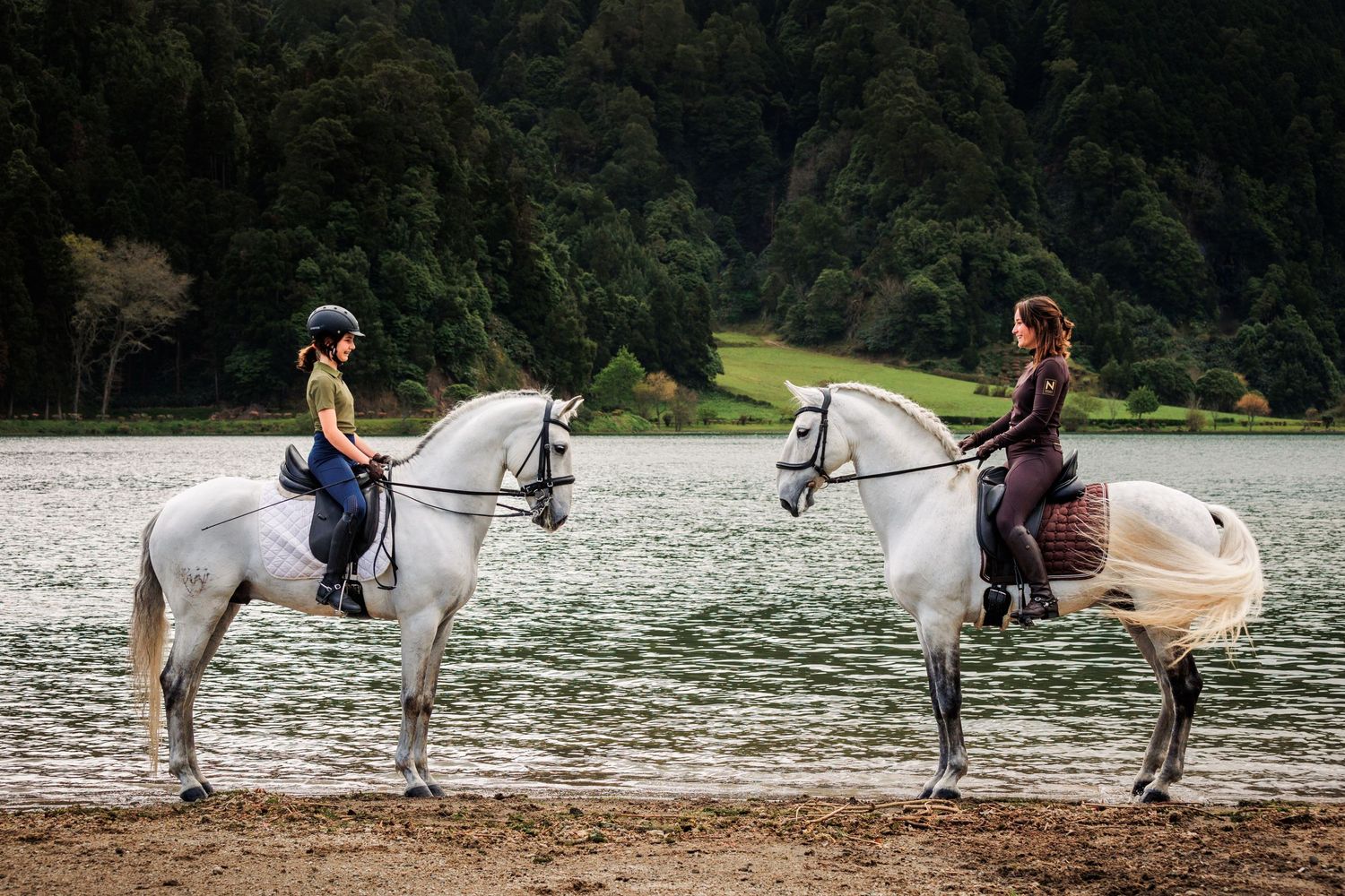 Amazing Lusitano horses with riders, by the lake of Sete Cidades, at São Miguel, Azores.