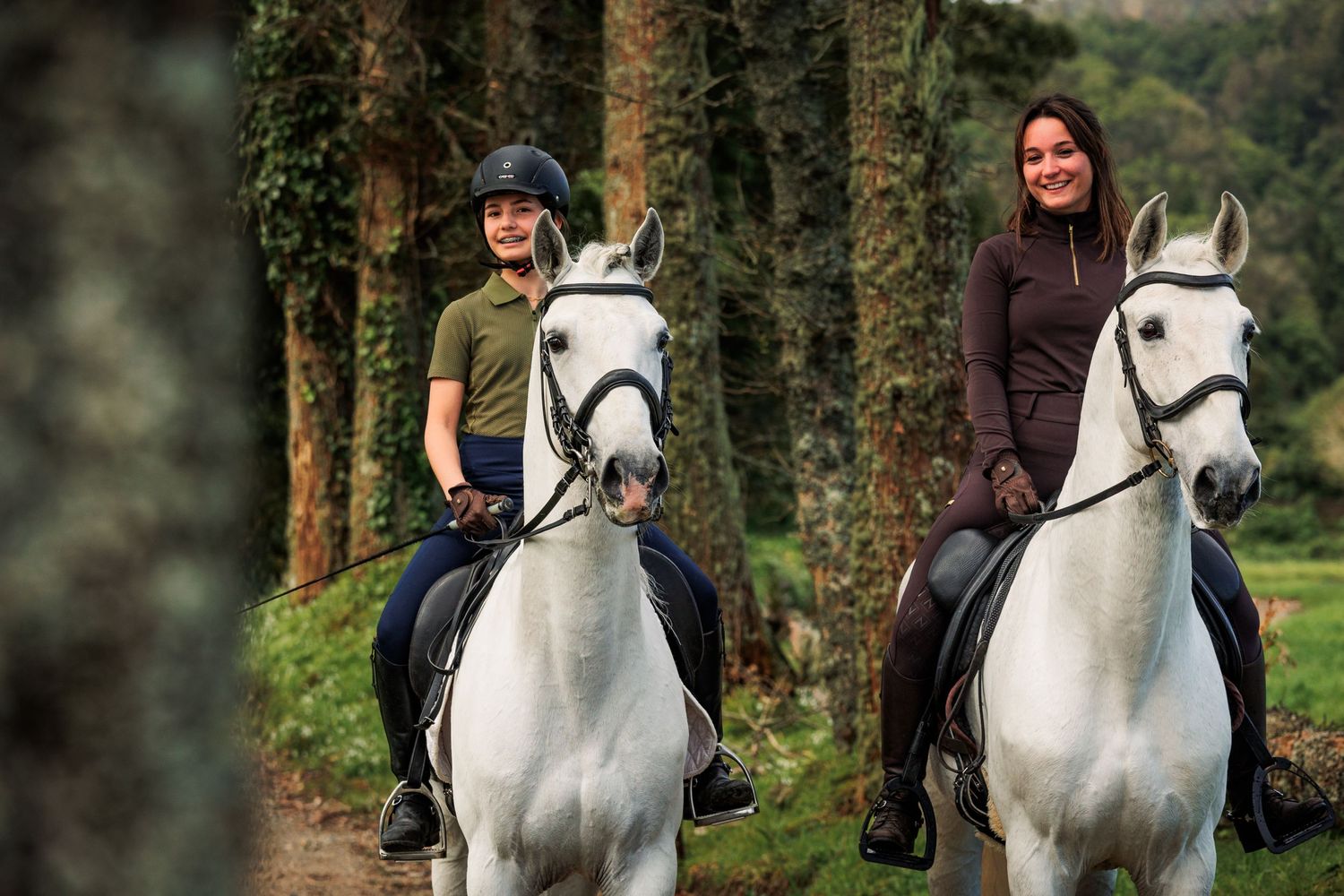 Amazing Lusitano horses with riders, in the forest, in Sete Cidades, at São Miguel, Azores.