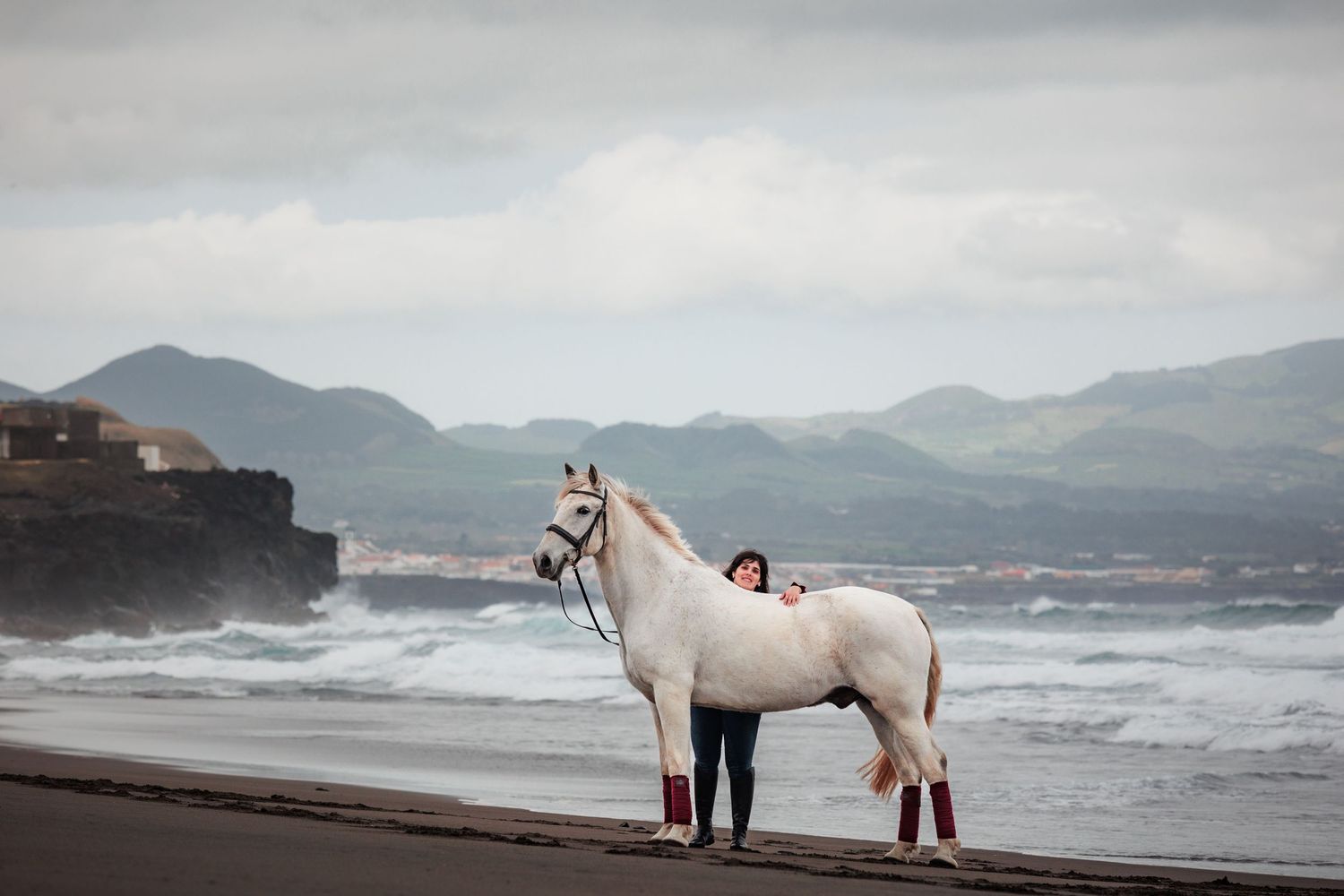 Horse portrait at the beach, with amazing backdrop and fantastic waves.