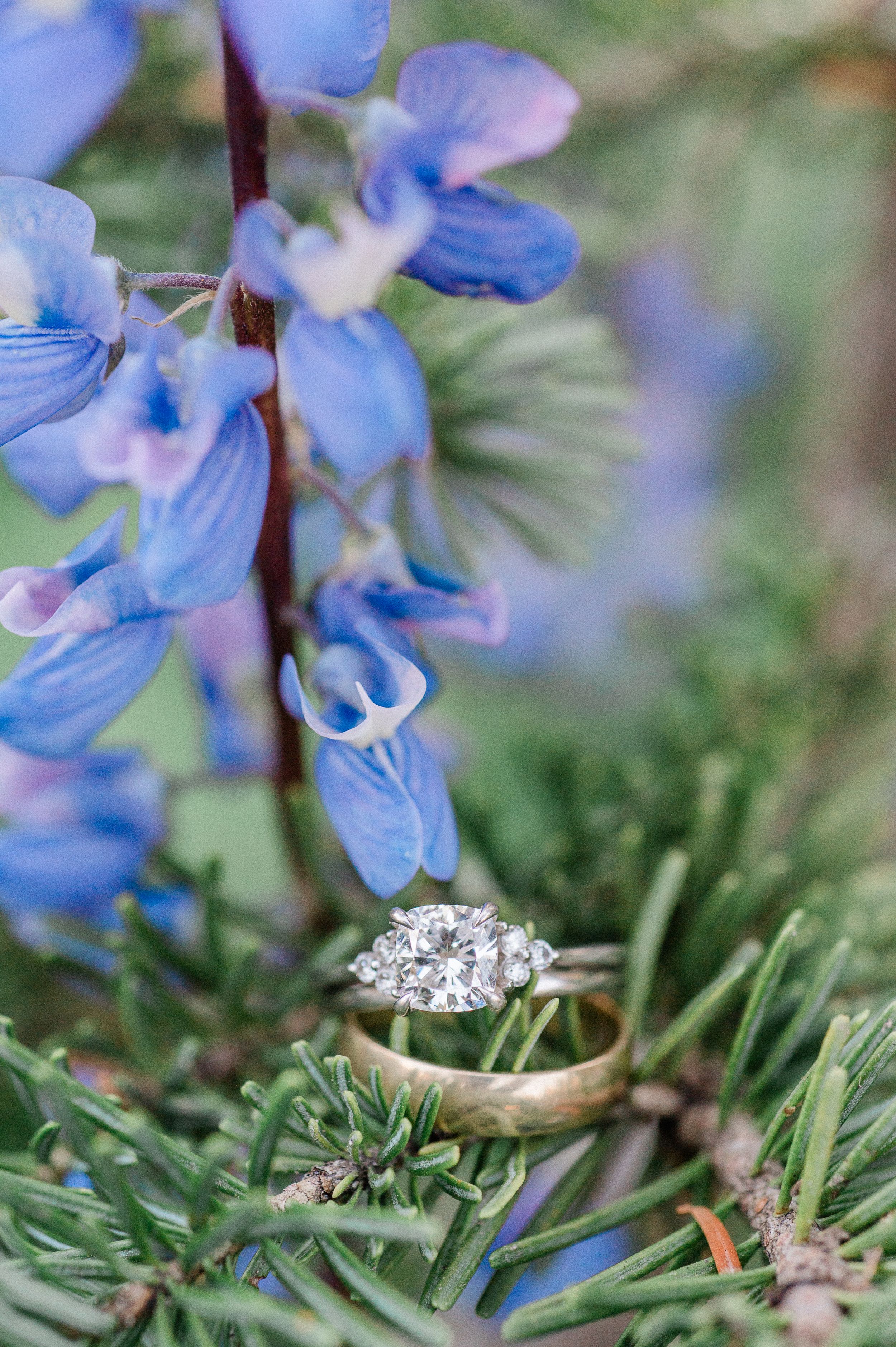 A sparkling diamond engagement ring nestled among blue lupine flowers and green pine needles.