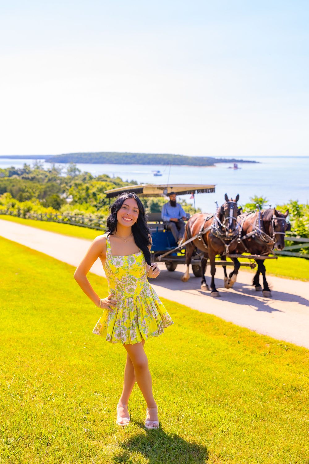 A scenic summer view at Mackinac Island with a horse-drawn carriage on a path overlooking the blue waters of Lake Huron.