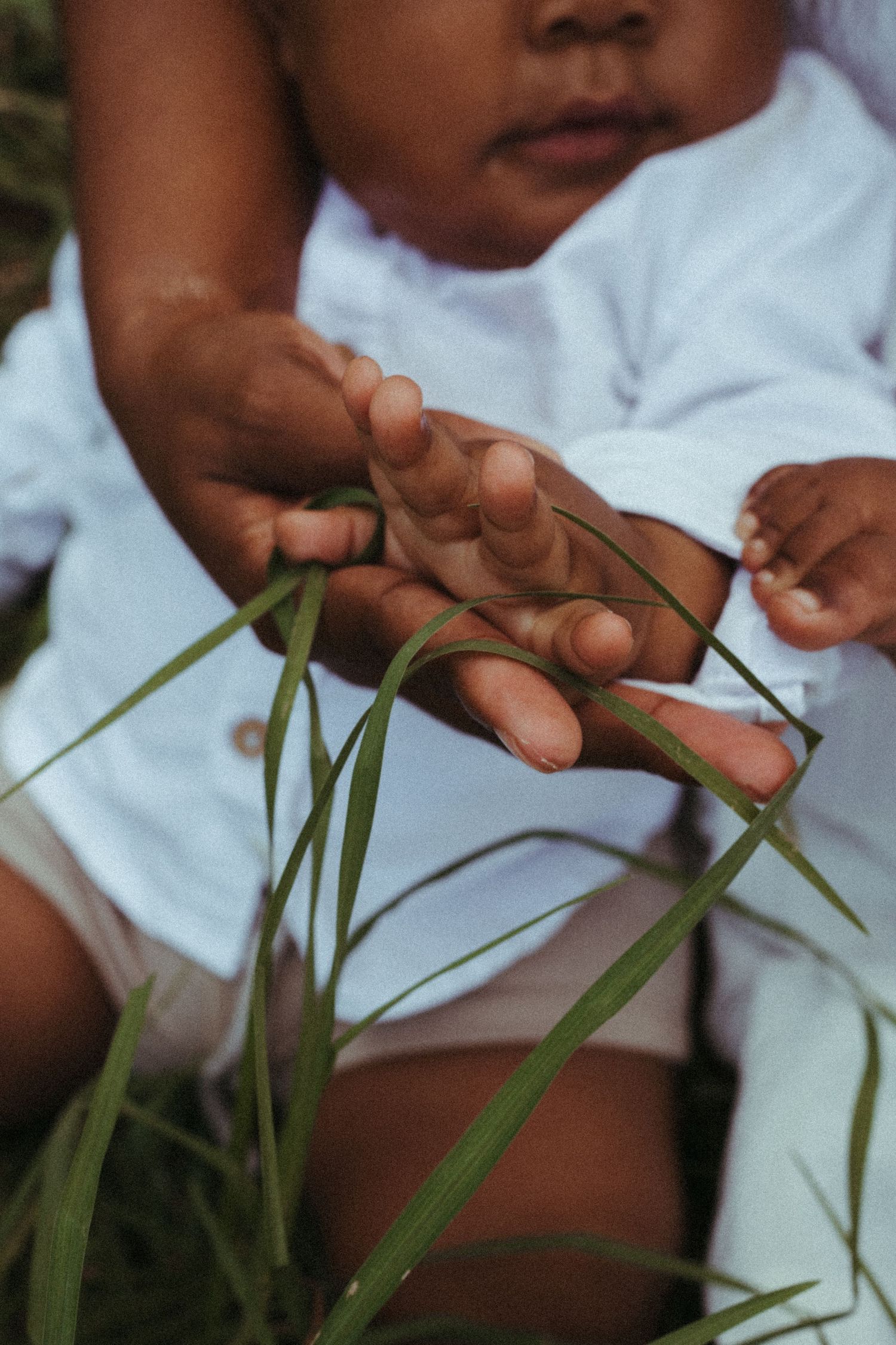 Close-up of hands touching tall grass blades during outdoor photo session.