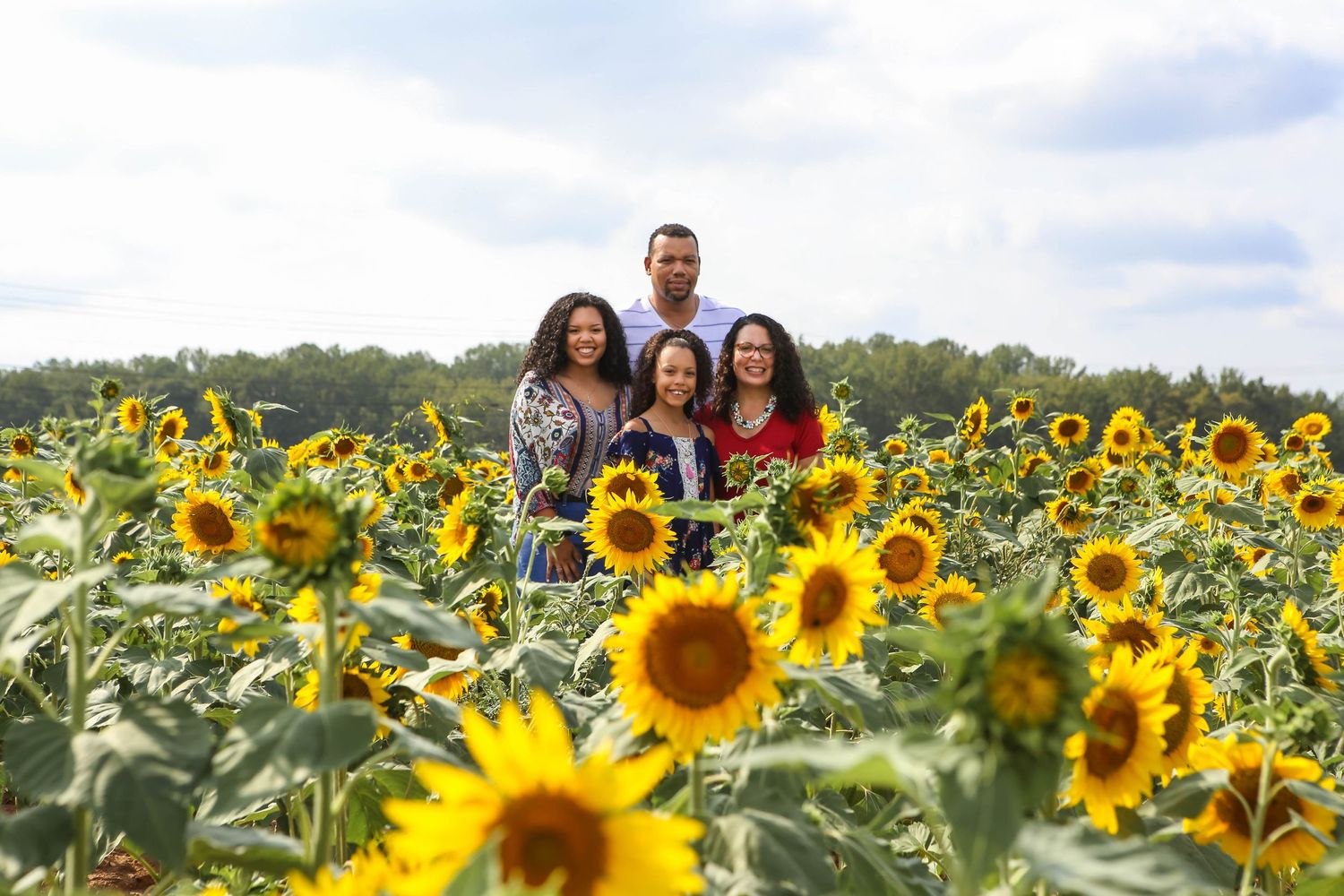 Family summer session in the blooming sunflower fields in South Carolina in the late afternoon just before the Golden Hour.