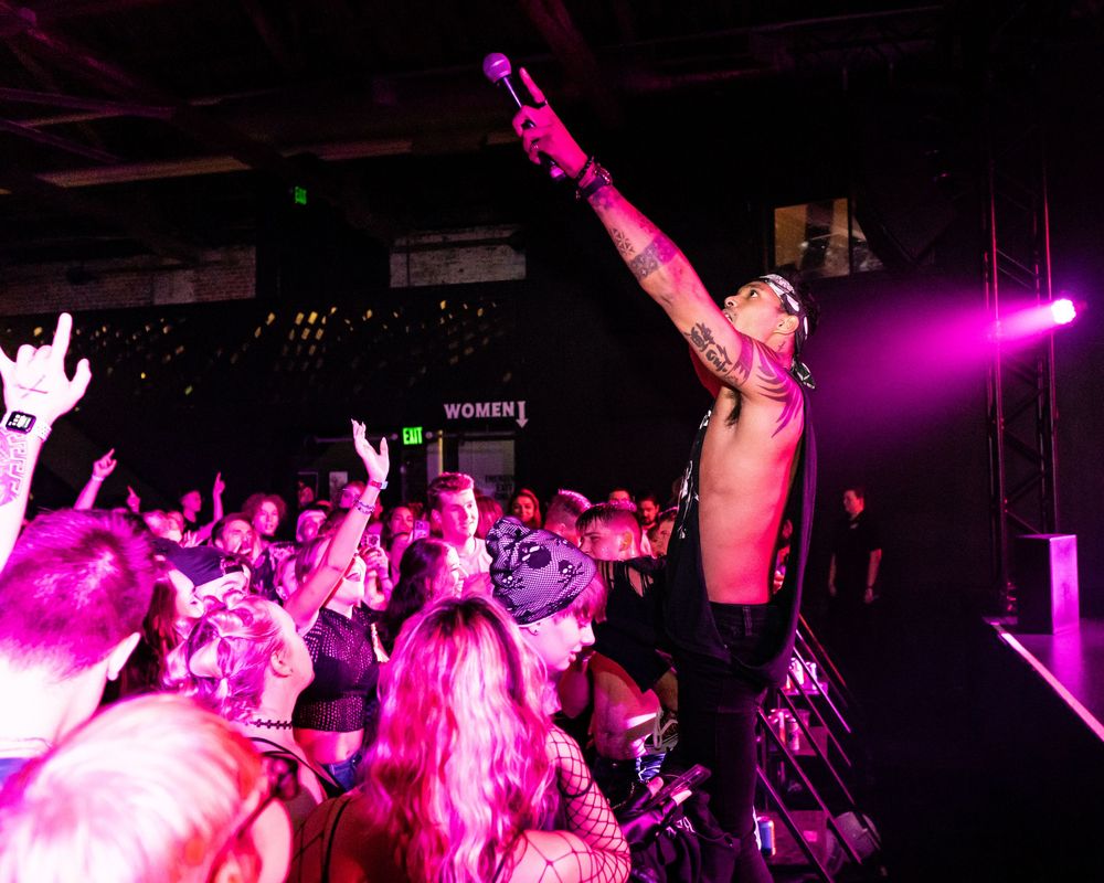 Concert crowd illuminated by pink stage lights during an energetic performance.