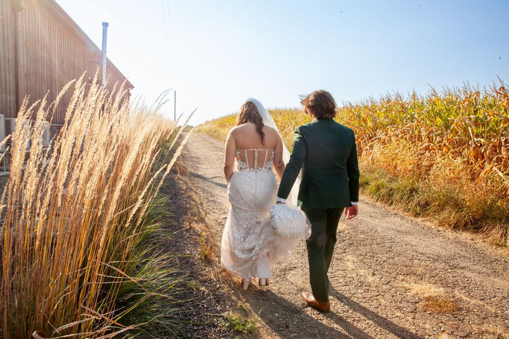 glacier rock vineyard wedding in ohio, corn field wedding photographer, country wedding in ohio, louisville ohio wedding photos, best in