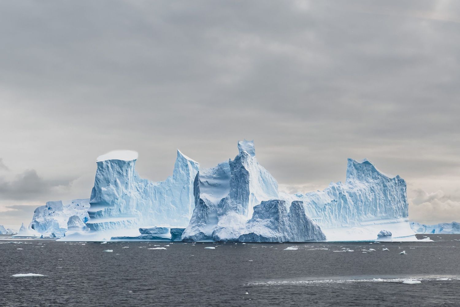 Massive blue icebergs float in dark Antarctic waters under a dramatic overcast sky.