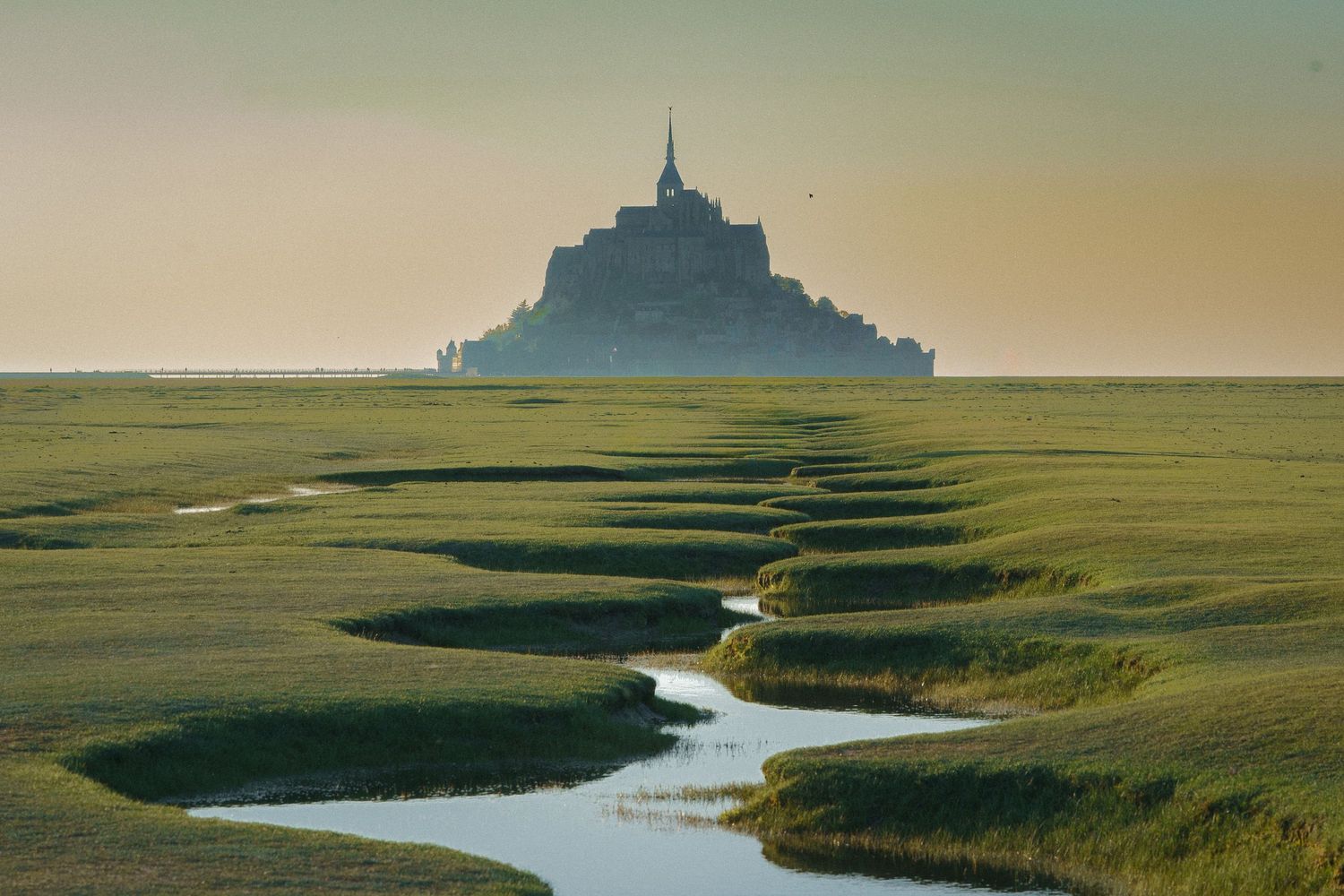 Aerial view of Mont Saint-Michel abbey rising above lush green salt marshes with winding waterways in Normandy, France.