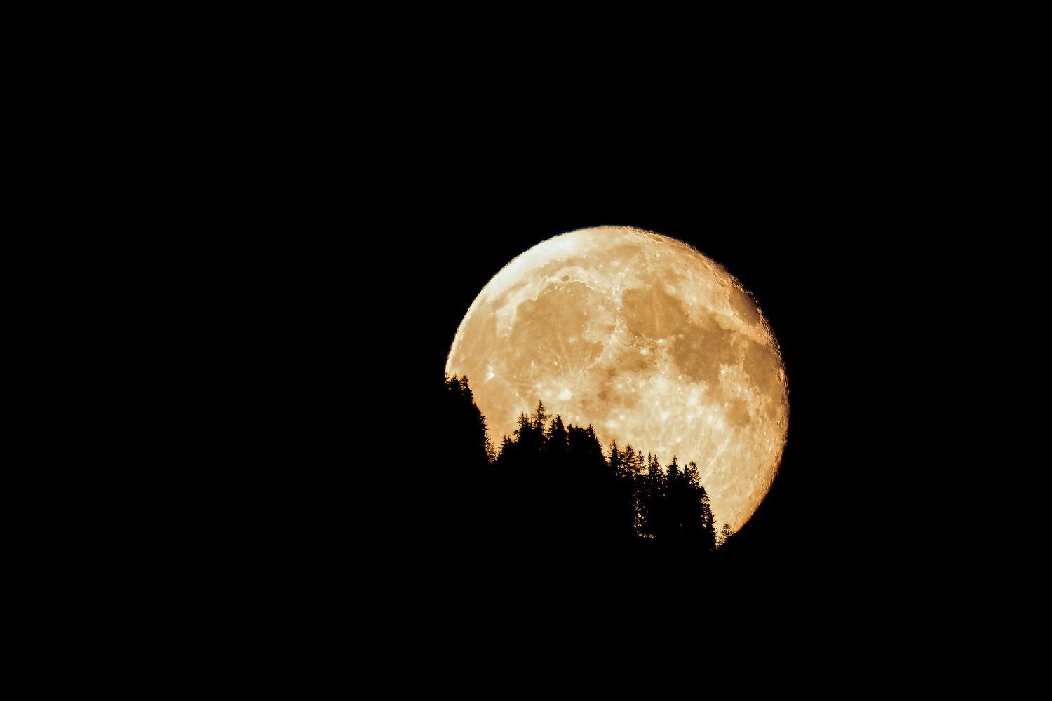 A series of moon phases showing yellow full moon, crescent moon, and waning moon against dark night skies.