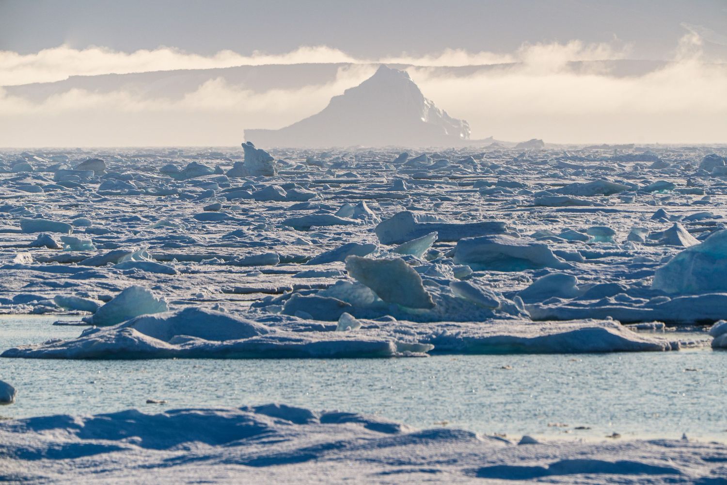 Vast Arctic ice field with floating ice chunks on frozen sea, misty mountain silhouette in background under cloudy sky.