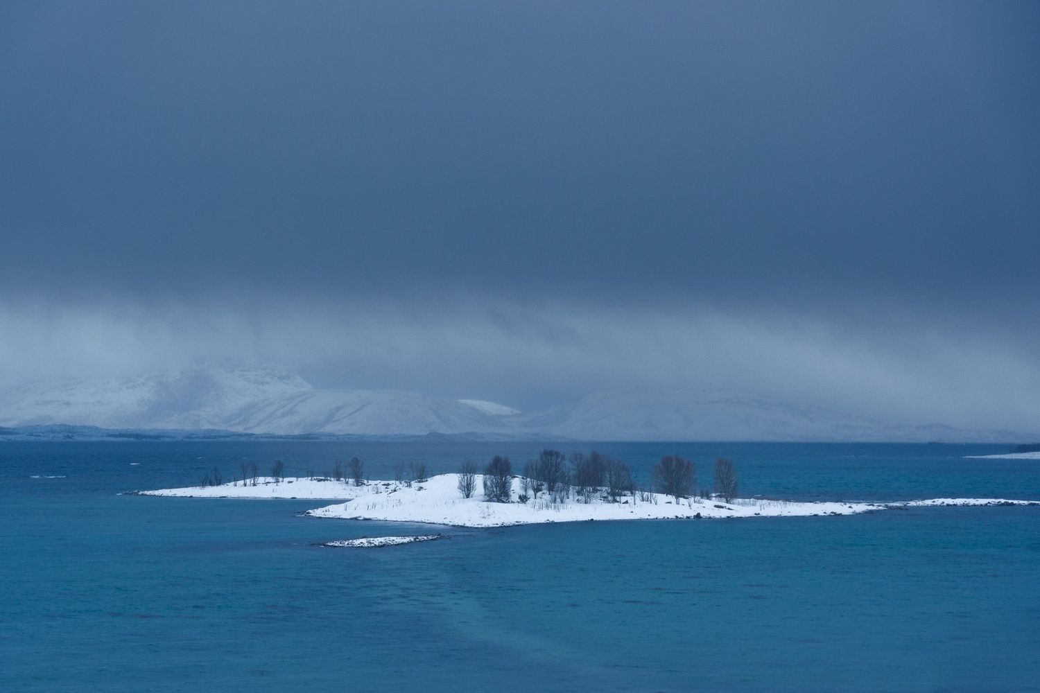 Snow-covered island with bare trees in turquoise arctic waters under dramatic stormy gray skies.