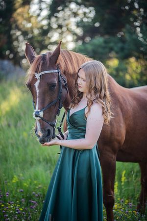 sunset, horse, dress