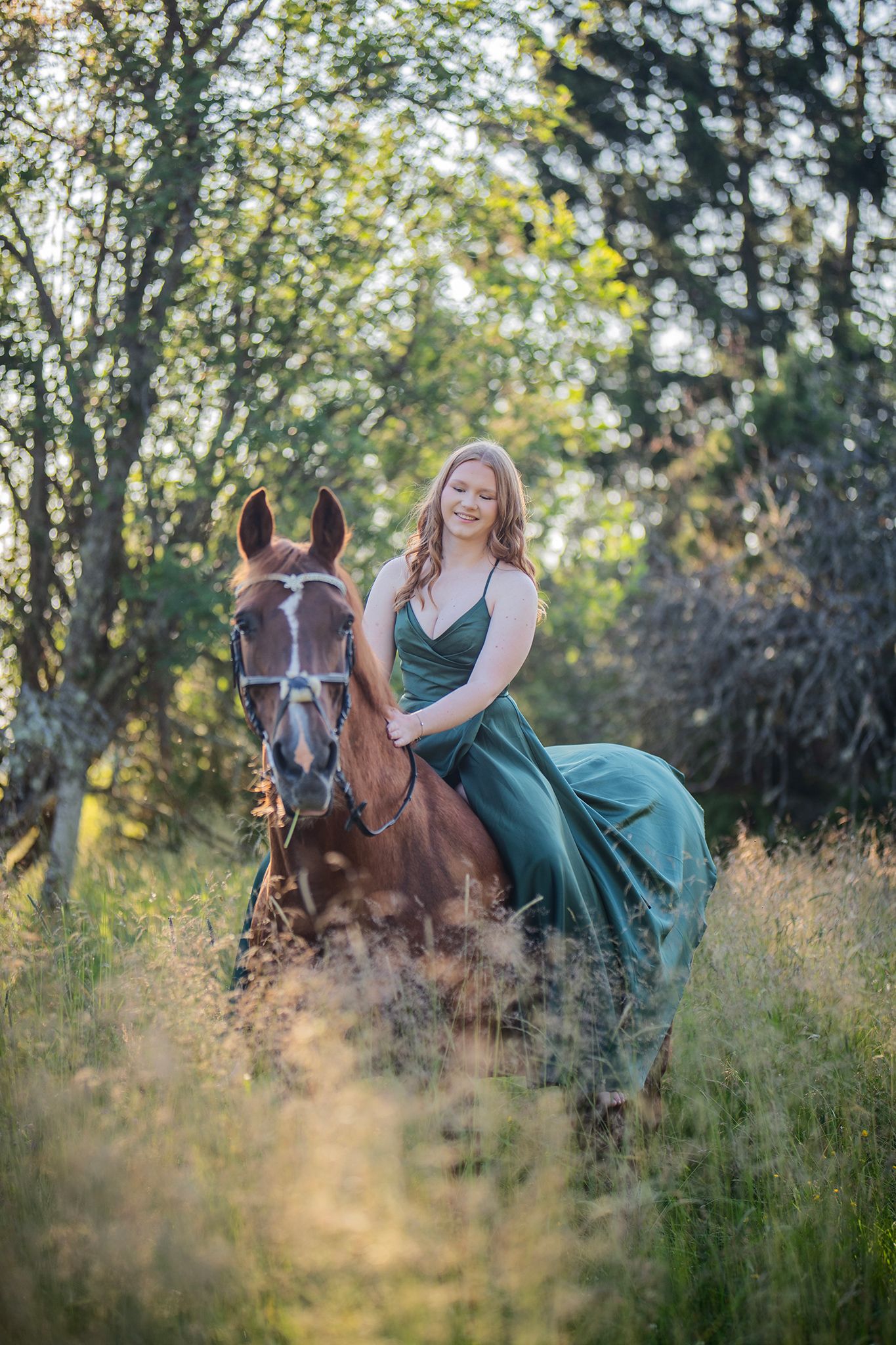 sunset, horse, dress