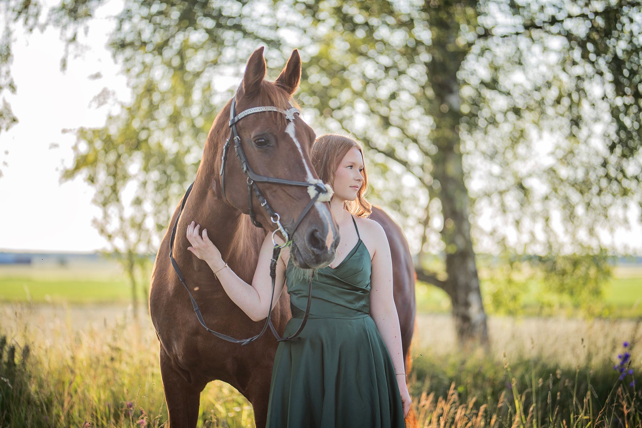 sunset, horse, dress