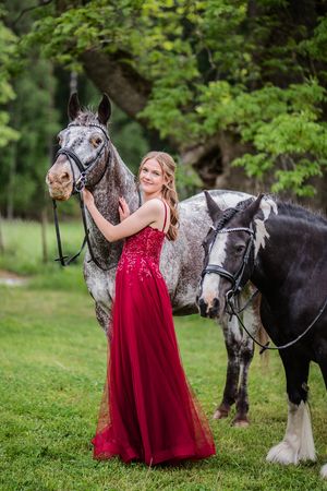 Horse, dress