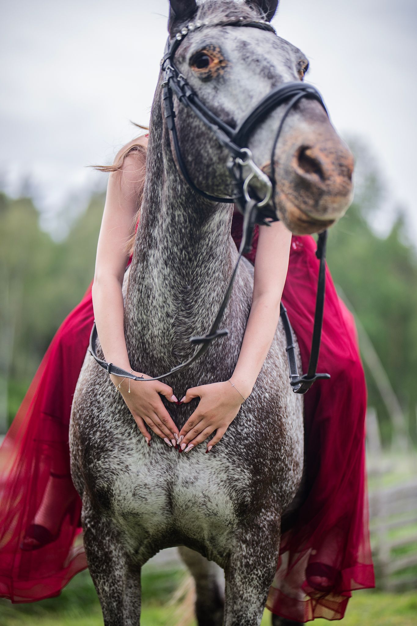 Horse, dress