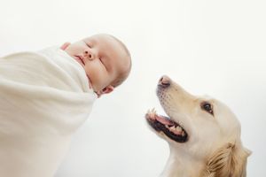 Amy Gray Photography | Newborn, Cake smash, Headshots, Couple, Children, maternity & Family Photographer in Ayr and Girvan