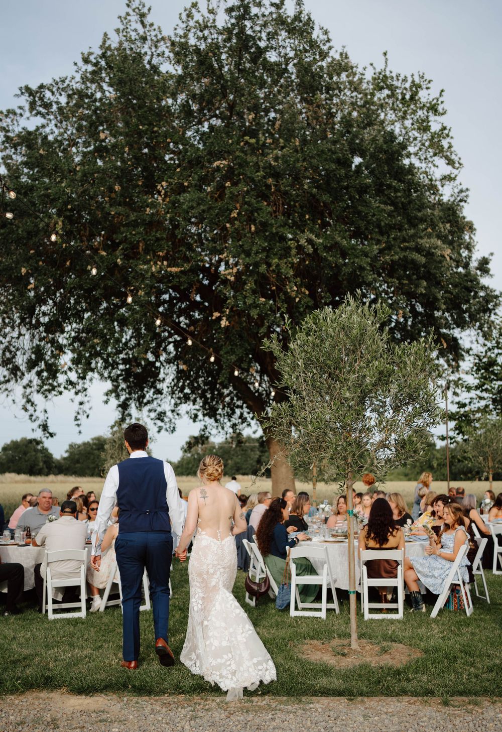 Bride and groom holding hands walking toward outdoor wedding reception under large tree with string lights at sunset.