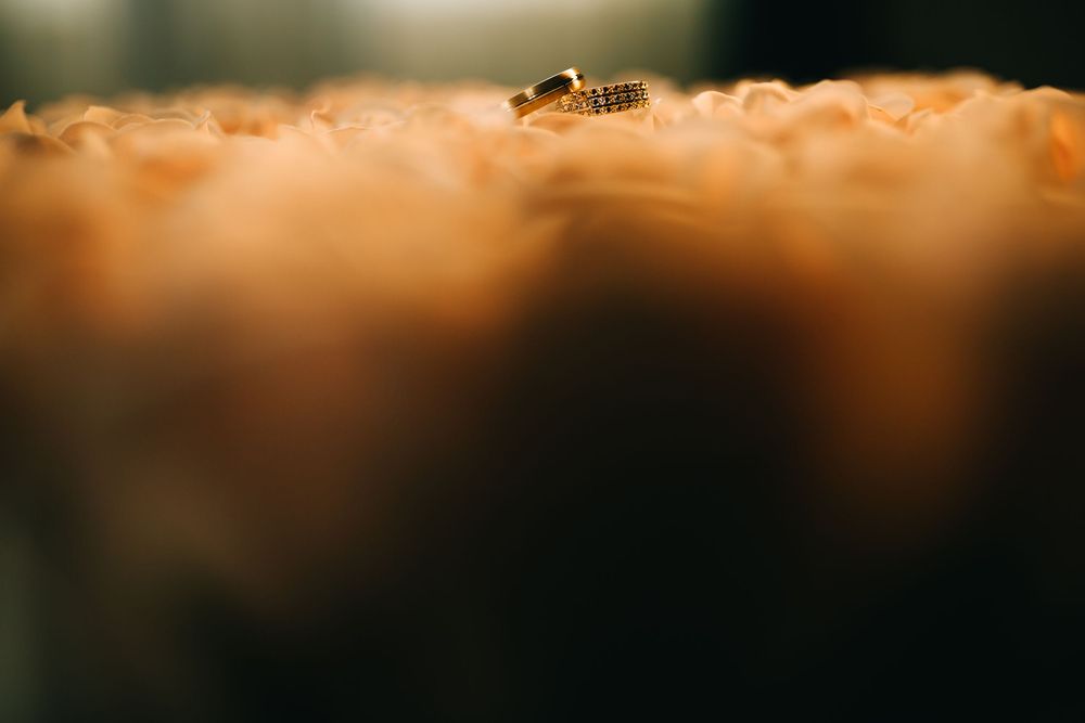 Two gold wedding bands resting on soft orange floral petals in romantic close-up shot.
