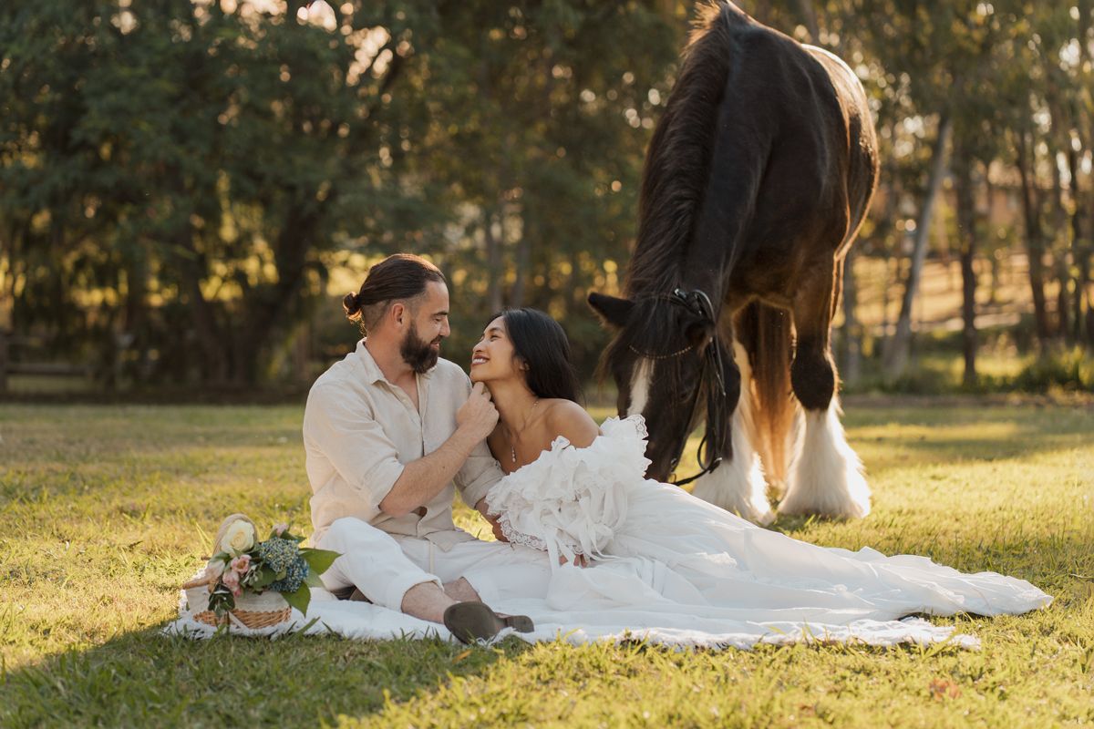 Couple in wedding attire sitting on white blanket in park with grazing horse nearby during a romantic photoshoot with a horse in sydney