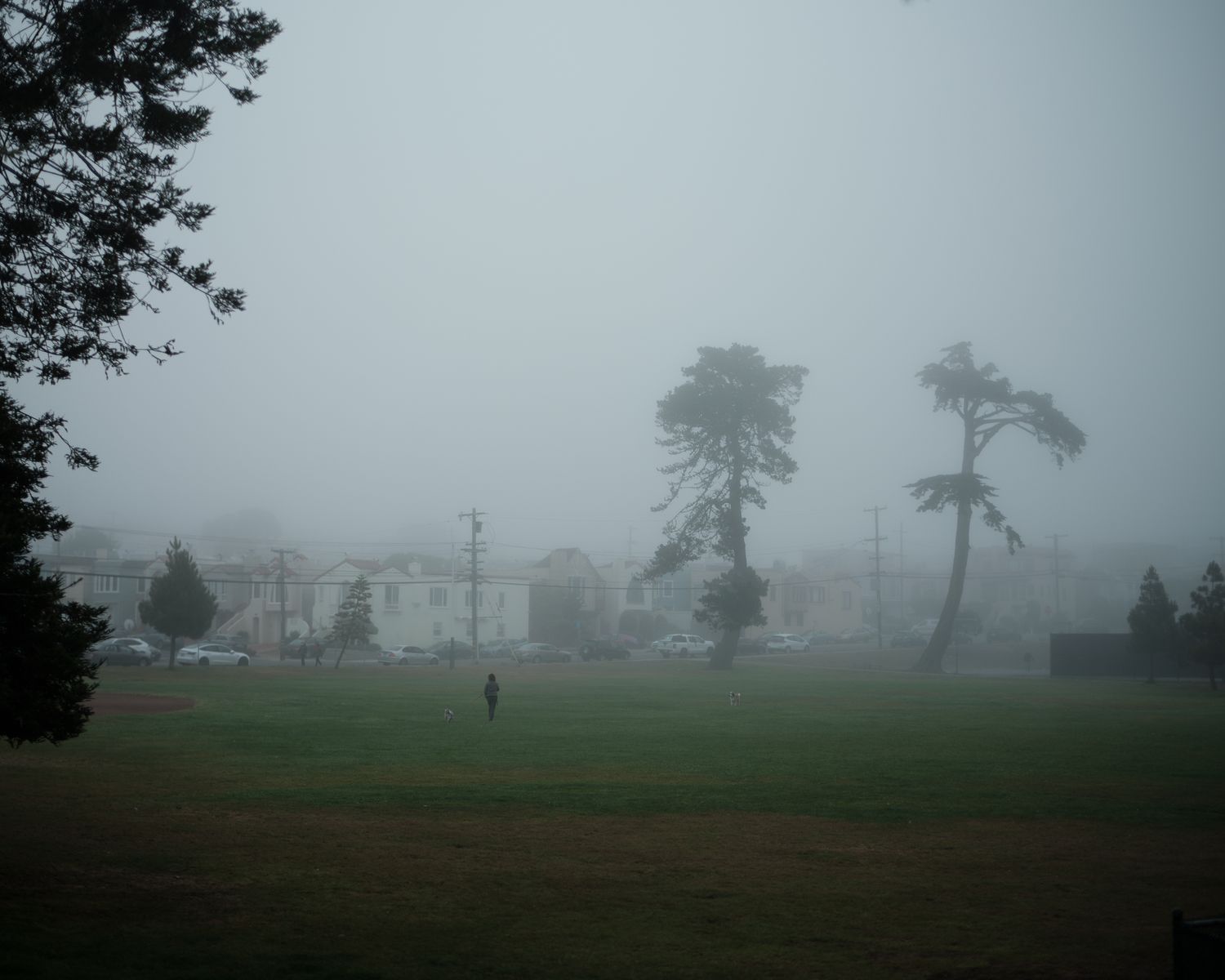 Misty San Francisco park at dusk with tall trees, green lawn, and residential buildings under overcast skies.