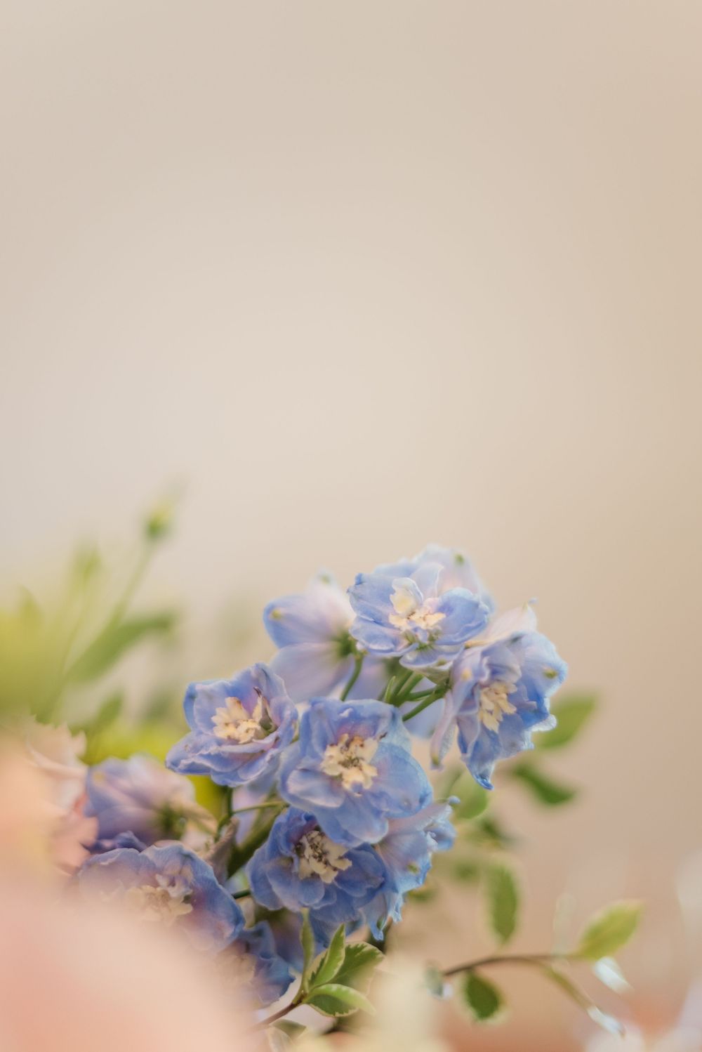 KZN wedding photographer