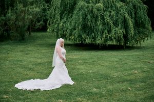 Bride in white wedding gown and veil standing on lush green lawn near weeping willow tree.