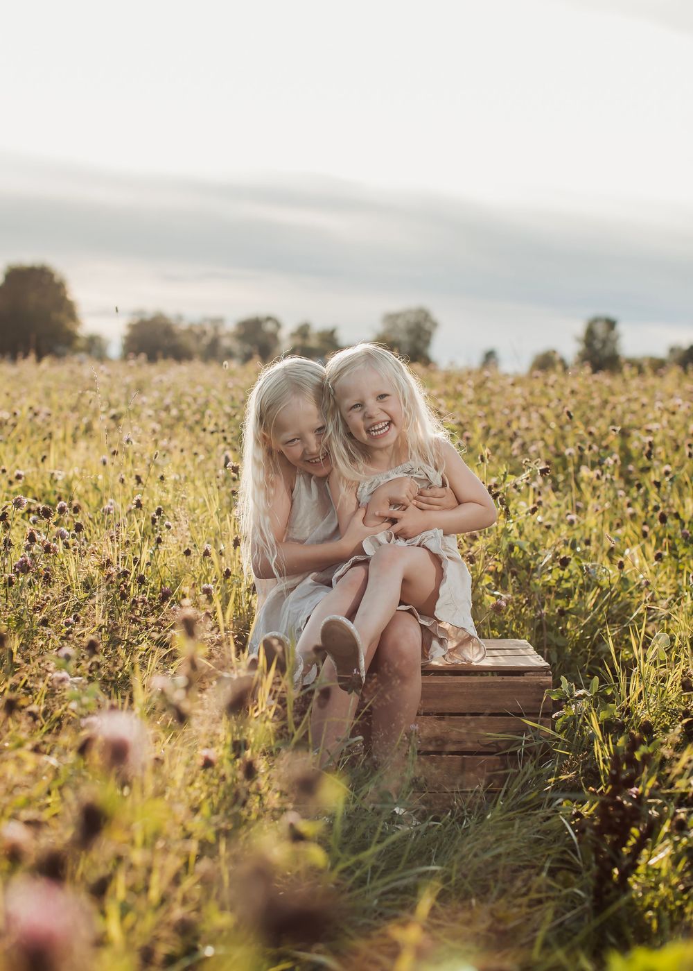 Familjefotografering på en blomsteräng i Boden med två syskon som sitter på en träpall och skrattar med varandra.