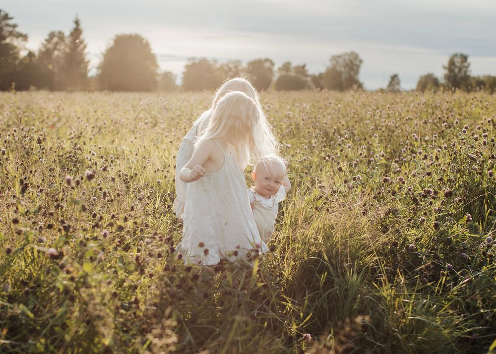 Familjefotografering på en blomsteräng i Boden med tre syskon som går med varandra.