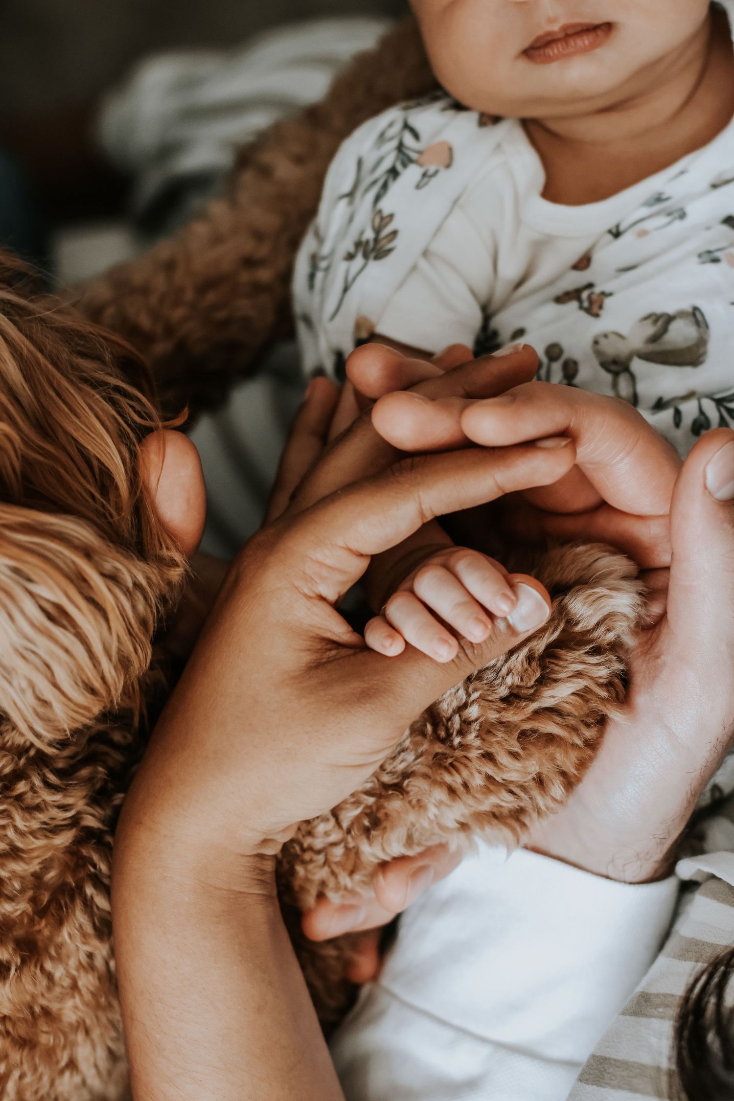 Close-up of a baby's tiny hand held by an adult near a fluffy brown dog, wearing a floral onesie.