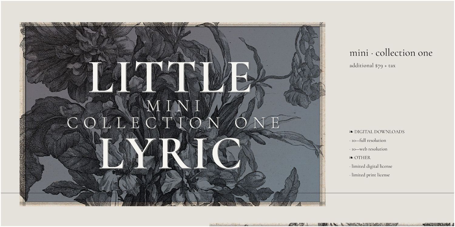 Minimalist website header design showing 'Little Lyric' text against a muted floral background pattern.